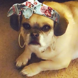 Meet your Posher, Leah